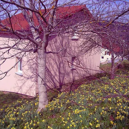 Maison Spacieuse Pres De Avec Vue Sur Le * Gerardmer