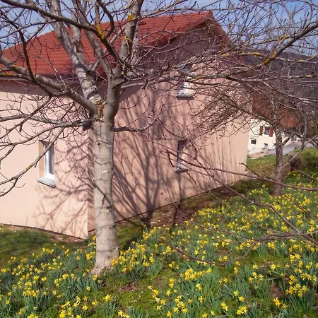Maison Spacieuse Pres De Avec Vue Sur Le