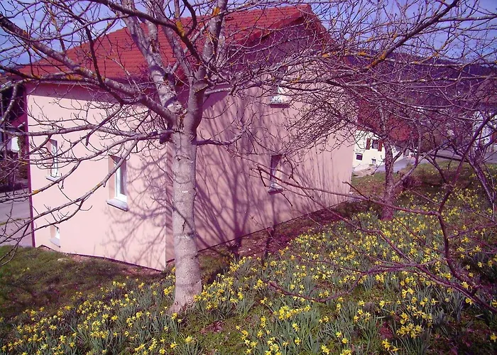 Maison Spacieuse Pres De Avec Vue Sur Le * Gérardmer